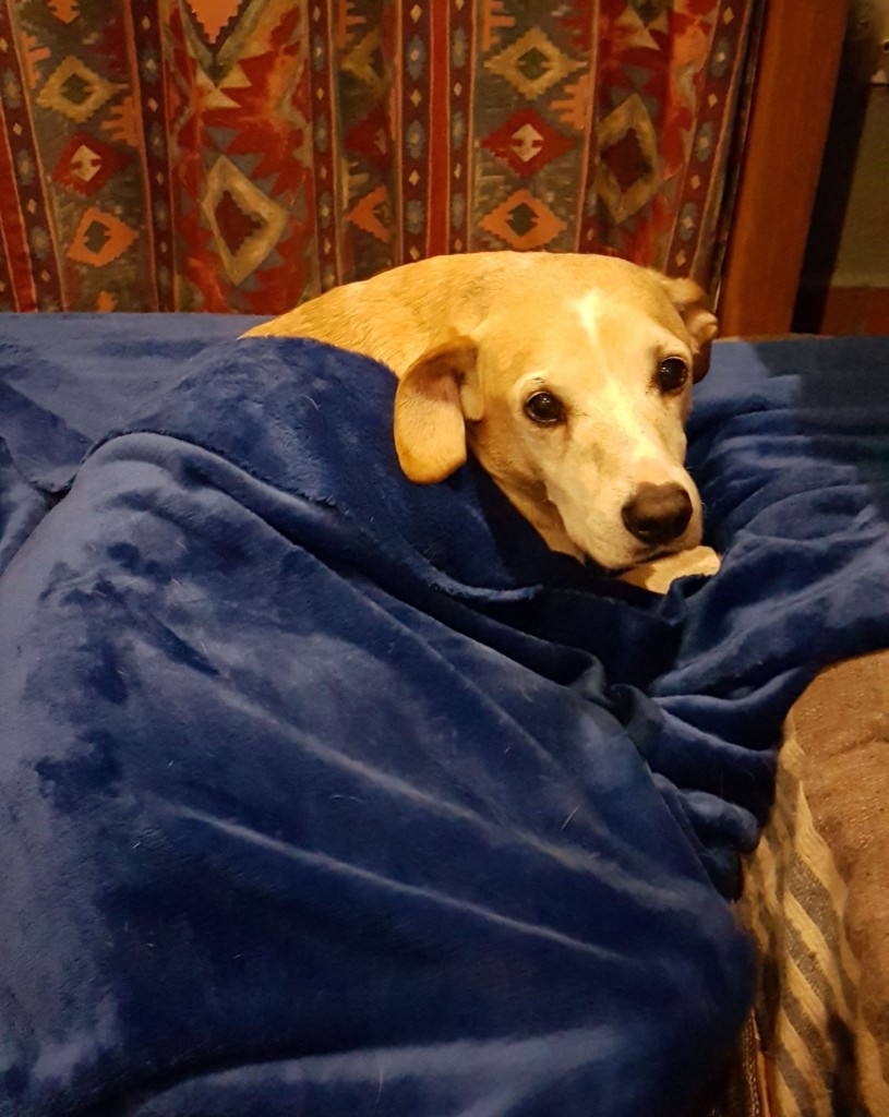 IMG-20180418-WA0007 IMG-20180418-WA0007