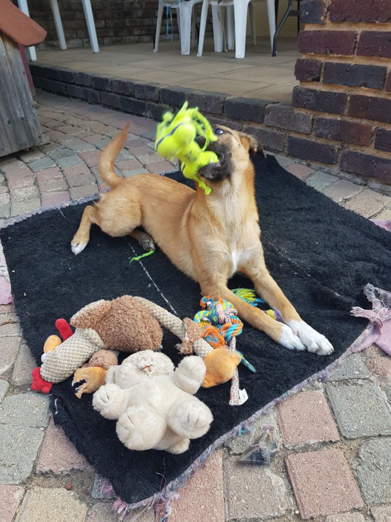 IMG-20180511-WA0003 Carli