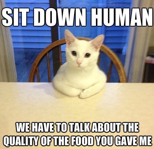 Sit down human we have to talk Sit down human we have to talk