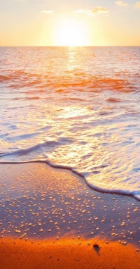 e704827648a44c803387bfc52cd9bb6a Cropped e704827648a44c803387bfc52cd9bb6a Cropped